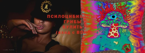 скорость Протвино