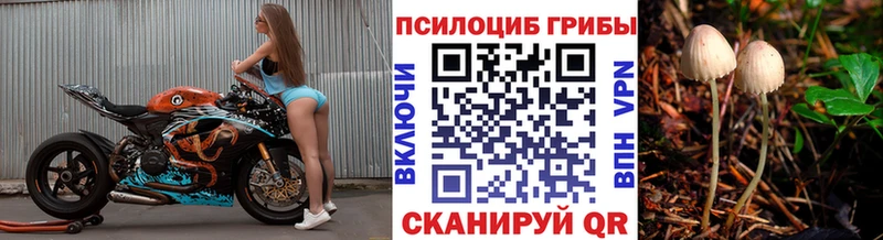 Галлюциногенные грибы GOLDEN TEACHER  Купить закладки  Ревда 